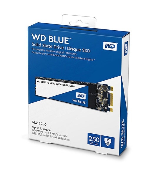Western Digital 500GB Blue M.2 2280 Internal SSD(WDS250G2B0B-00YS70)