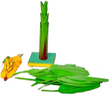 simonart and printing artificial banana tree 2ft - 100.0, 60 cm 25 cm 25 cm