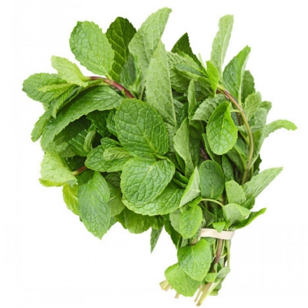 Fresho Green Mint Leaf / Purina Patti - 500gm