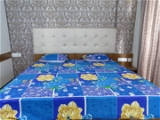 Doppelganger Homes Blue flowers Double Bed Sheet