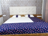 Doppelganger Homes Floral edge Designer Double Bed Sheet