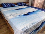 Doppelganger Homes Printed cotton Double Bed Sheet-115