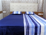 Doppelganger Homes Printed cotton Double Bed Sheet-109
