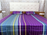 Doppelganger Homes Printed cotton Double Bed Sheet-105