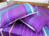 Doppelganger Homes Printed cotton Double Bed Sheet-105