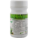 Wheatgrass 100 Gms Powder - 0.426