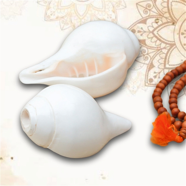 Original Rameswaram Blowing Shankh, Divine Conch ( White Shankh -  Pack of 1 ) - 5 Inch  