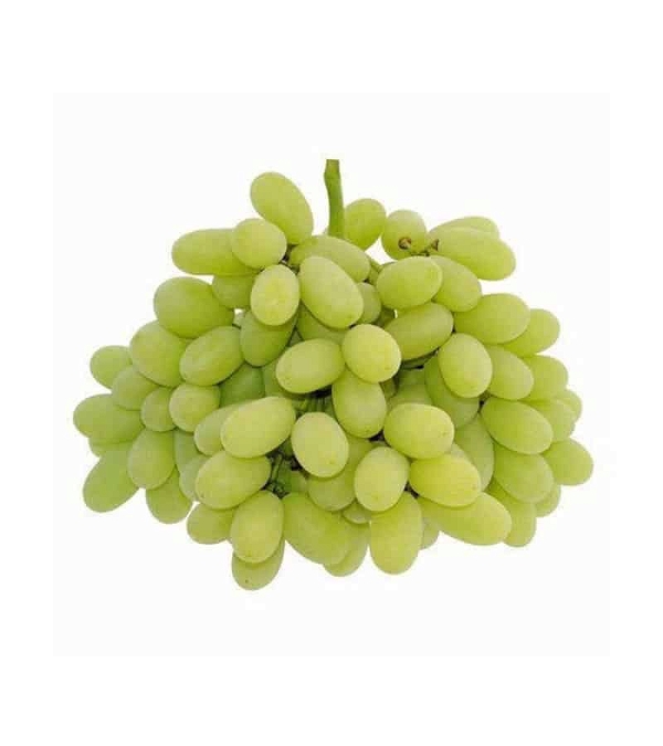 Fresh Grapes/Angur - 500g