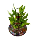 3 LAYER BAMBOO PLANT WITH BOWL