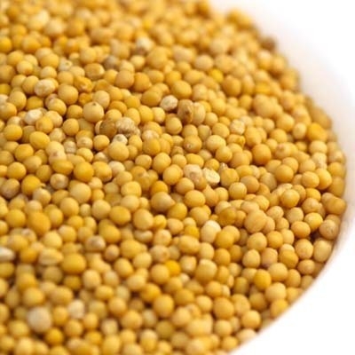 Sarsu/Mustard (Yellow) - 100g