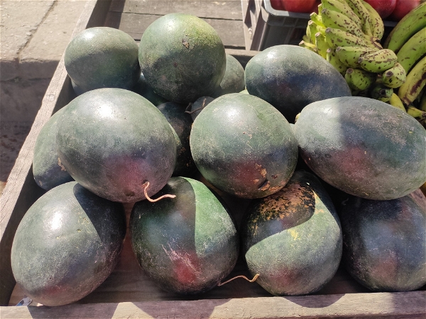 Watermelon (Tarbooj) Bengal - 1Kg, Price Depends Upon Weight