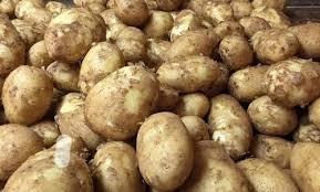 Potato Aalu Aloo (Agra) - 1kg