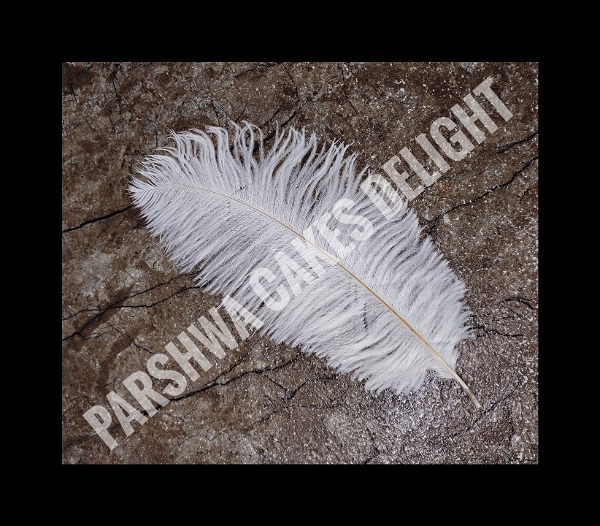 OSTRICH FEATHER - WHITE, 1 PC