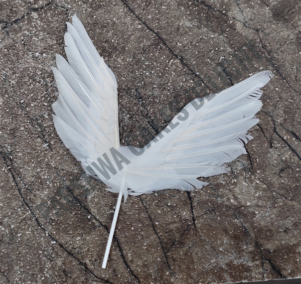 Butterfly Feather - White, 1 Pc