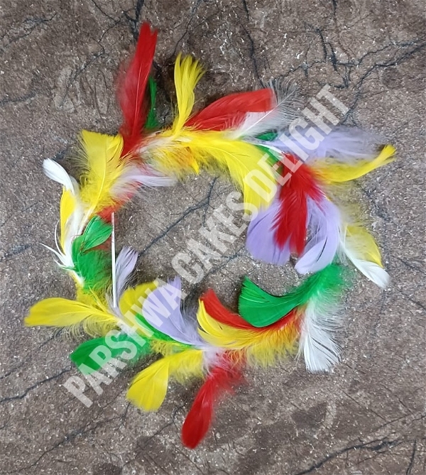 CIRCLE FEATHER - PCD 8