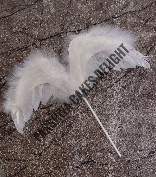 Imported Feather - White, 1 Pc