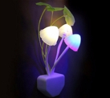 Mushroom LED  Night Lamp 500PB - 