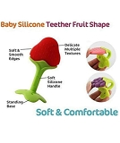 SILICONE TEETHER WITH BOX 500PB