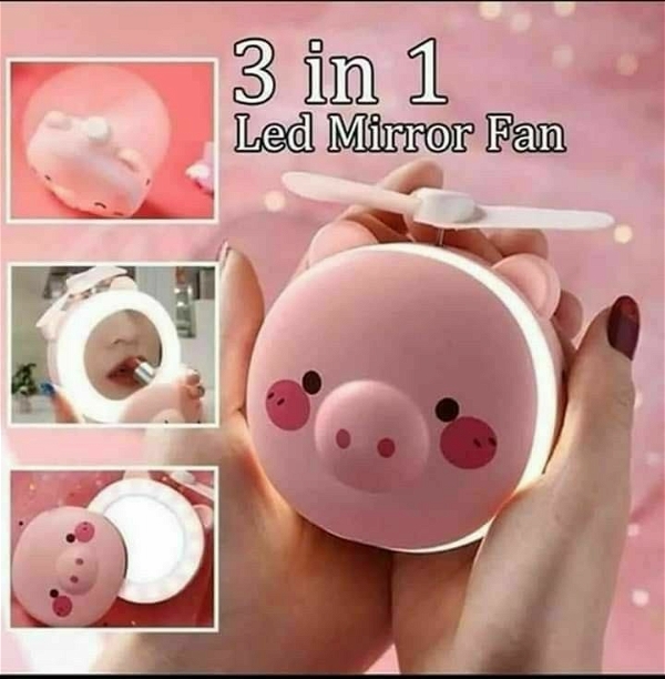 3 in 1 led mirror fan Color random only With usb charging