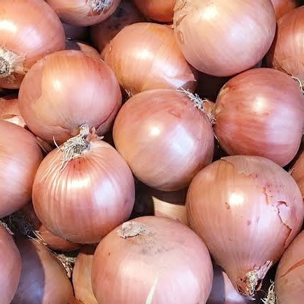 Onions - ఉల్లిపాయలు - 1kg