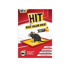 Hit Rat Glue Pad - హిట్ ఎలుక బంక అట్ట - 1 pc Small size