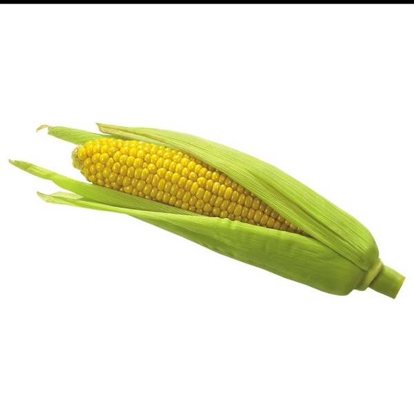 Sweet Corn 1 Pc (Approx 250g-450g)