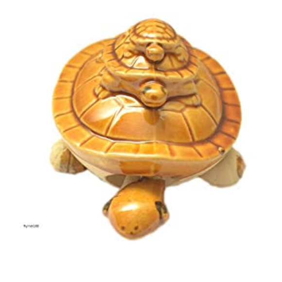 Jump up 59 cm Lucky Tortoise Standing On One Hand Self Adhesive Sticker  Price in India - Buy Jump up 59 cm Lucky Tortoise Standing On One Hand Self  Adhesive Sticker online