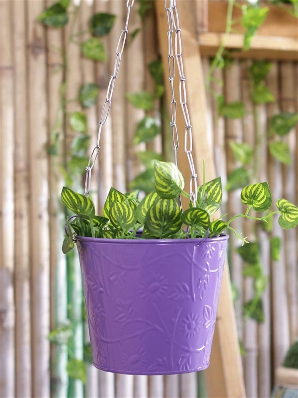 Hanging Bucket Purple
