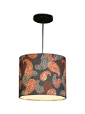 Colorful Ambee Hanging Shade