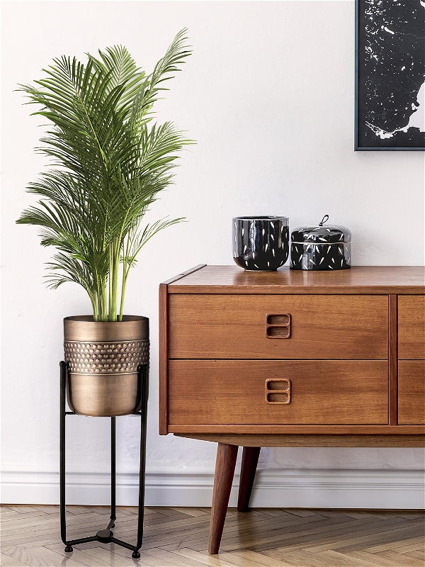 Planter Stand with Golden Hammered Pot