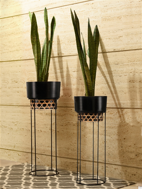 Set of Two Black Planter Stand