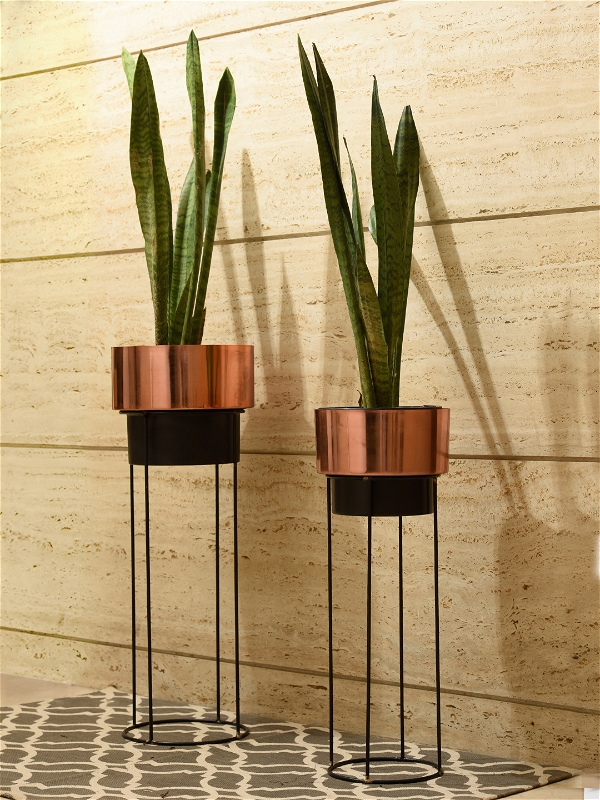 Set of Two Bronze Planter Stand