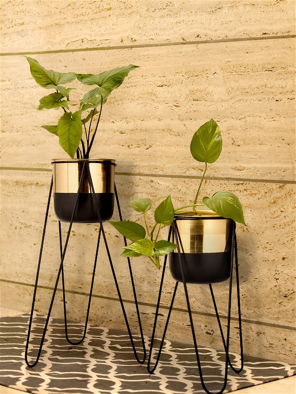 Set of Two Dual Tone Planter Stand