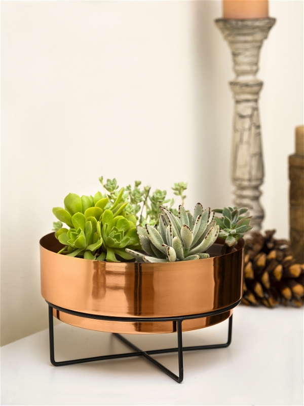 Copper Planter Pot with Black Metal Stand